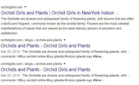 Orchidgirls